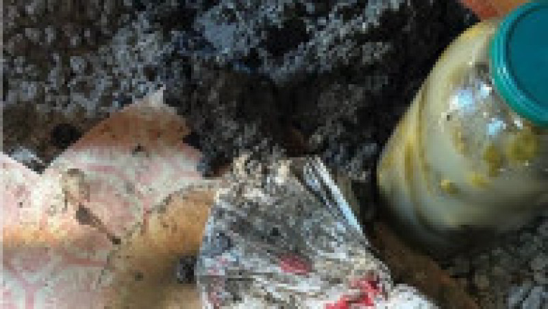 În urma unor percheziţii făcute la locuinţele suspecţilor, anchetatorii au descoperit peste 112.000 de lei, bani îngropaţi în pământ | Poza 2 din 5