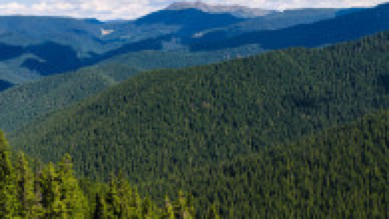 Peisaj din Munții Carpați. Sursa foto: Facebook / Zbor peste Munții României | Poza 7 din 13