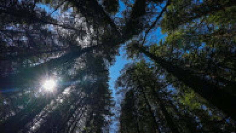 Peisaj din Munții Carpați. Sursa foto: Facebook / Zbor peste Munții României | Poza 4 din 13