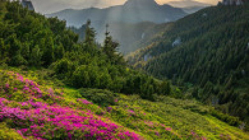 Peisaj din Munții Carpați. Sursa foto: Facebook / Zbor peste Munții României | Poza 3 din 13