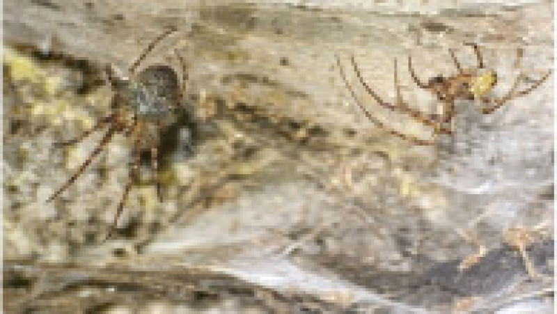 Foto: Profimedia Images | Poza 1 din 4