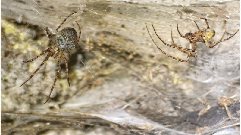 Foto: Profimedia Images 