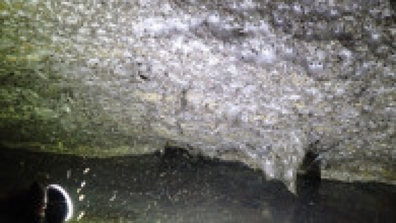 Foto: Profimedia Images | Poza 4 din 4