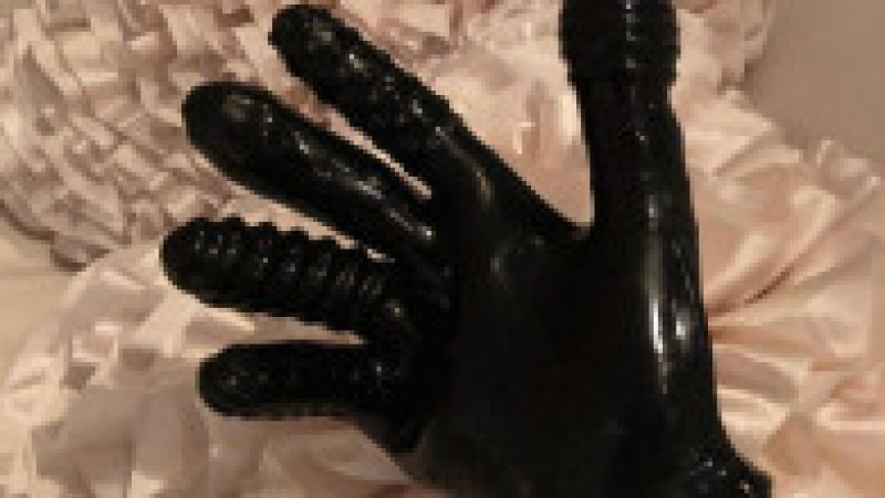 Foto: oversightdemocrats.house.gov | Poza 9 din 19