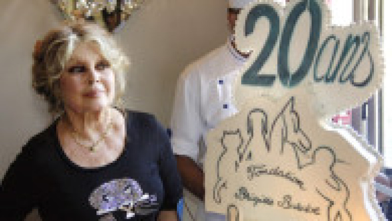 Brigitte Bardot. Foto: Profimedia | Poza 6 din 8