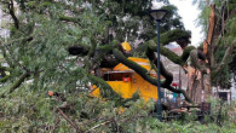 Furtuna Kristin a făcut ravagii în Portugalia. Sursa foto: Profimedia | Poza 3 din 6