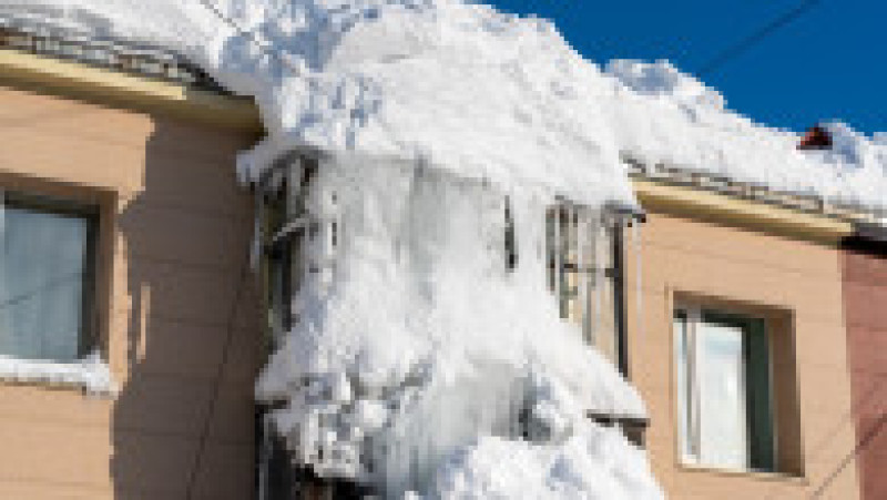 Foto: Profimedia | Poza 2 din 5