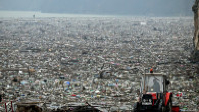 Foto: Profimedia Images | Poza 16 din 16