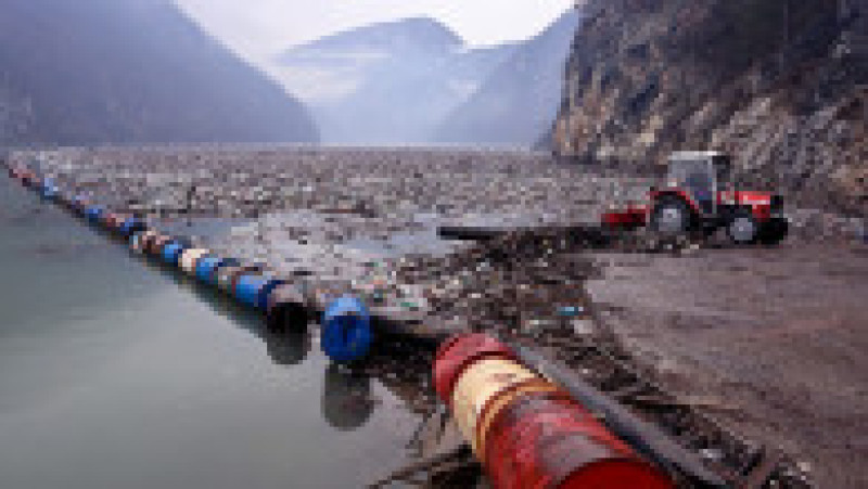 Foto: Profimedia Images | Poza 2 din 16