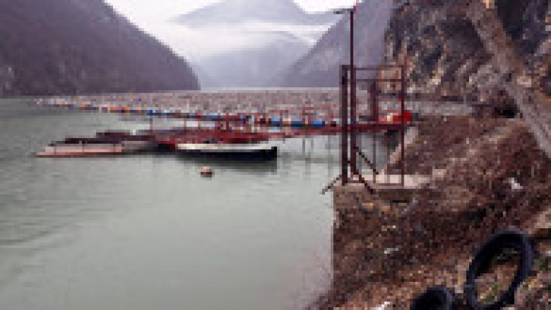 Foto: Profimedia Images | Poza 5 din 16