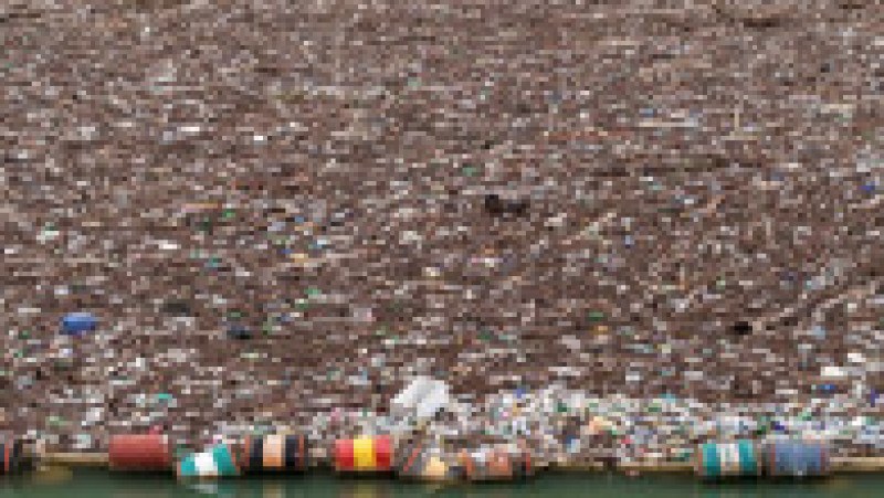 Foto: Profimedia Images | Poza 13 din 16