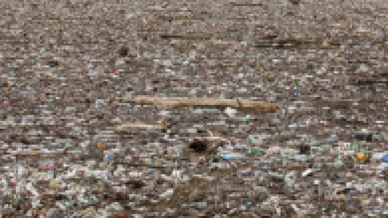 Foto: Profimedia Images | Poza 11 din 16