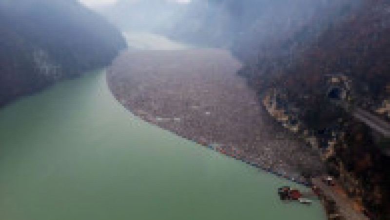 Foto: Profimedia Images | Poza 9 din 16