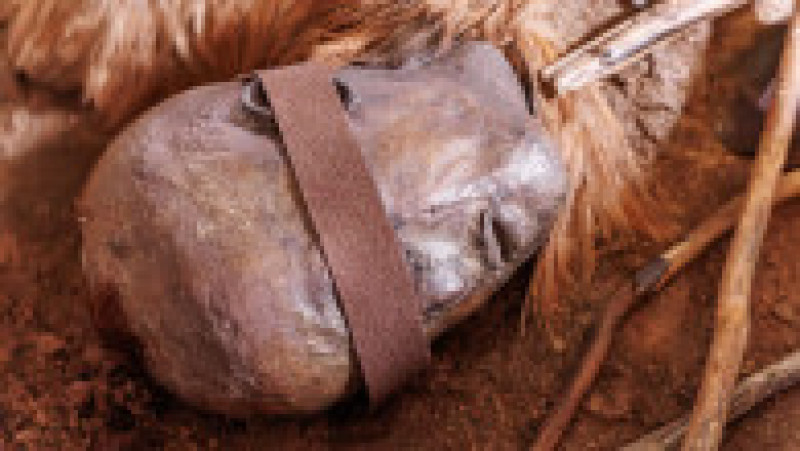 Corpul din mlaștină al copilului din Windeby, conservat natural în turbă și analizat de specialiști. Foto: Profimedia | Poza 2 din 3