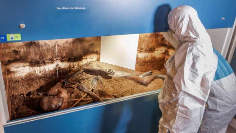 Corpul din mlaștină al copilului din Windeby, conservat natural în turbă și analizat de specialiști. Foto: Profimedia