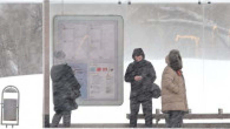 Moscova, Rusia. Foto: Profimedia Images | Poza 2 din 9