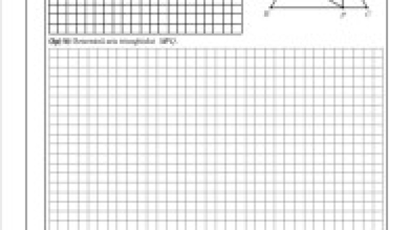 Simulare matematică, subiecte, pagina 7 | Poza 7 din 8