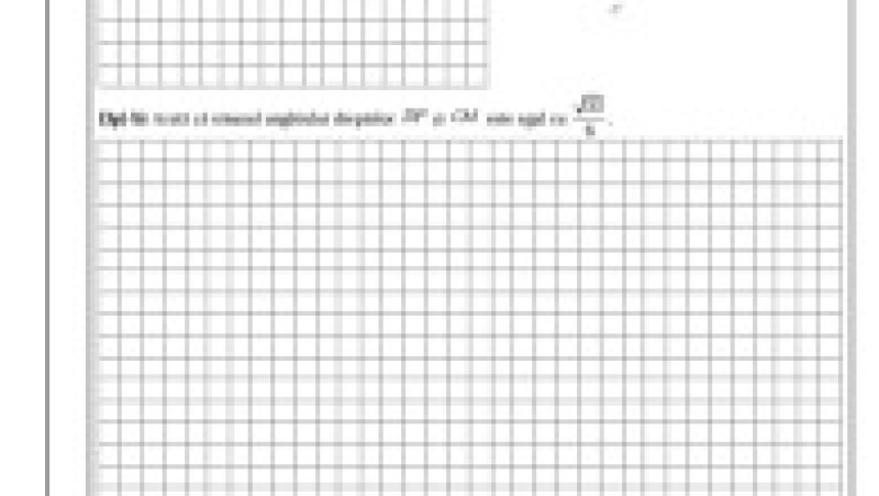 Simulare matematică, subiecte, pagina 8 | Poza 8 din 8