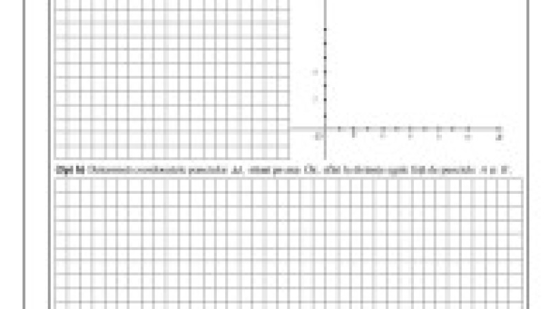 Simulare matematică, subiecte, pagina 5 | Poza 5 din 8