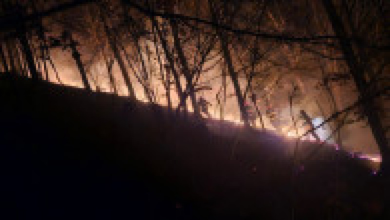 Pompierii intervin pentru stingerea unor incendii puternice de vegetație izbucnite în județele Maramureș și Satu Mare. Foto: Departamentul pentru Situaţii de Urgenţă/ Facebook | Poza 5 din 6