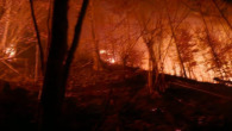 Pompierii intervin pentru stingerea unor incendii puternice de vegetație izbucnite în județele Maramureș și Satu Mare. Foto: Departamentul pentru Situaţii de Urgenţă/ Facebook | Poza 1 din 6