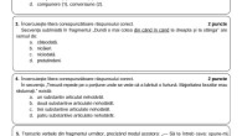 Simulare limba română, pag 7 | Poza 7 din 9
