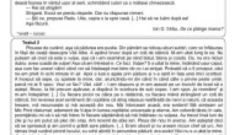 Simulare limba română, pag 3 | Poza 3 din 9