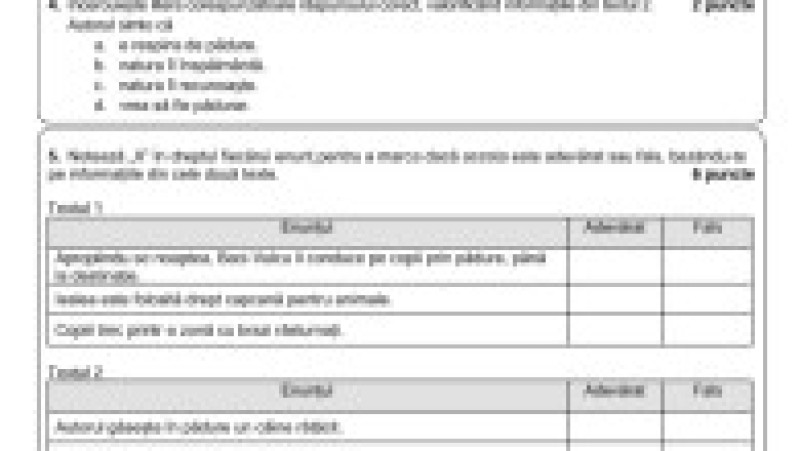 Simulare limba română, pag 4. png | Poza 4 din 9