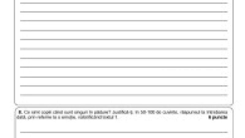 Simulare limba română, pag 5 | Poza 5 din 9