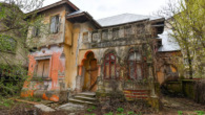 Str. Gladiolelor nr. 11 | Poza 12 din 14