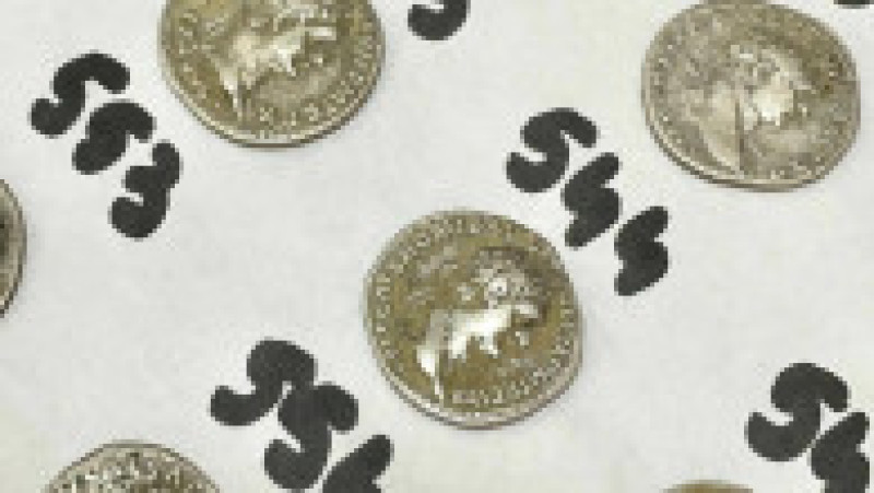 Foto: CJ Botoșani/ Facebook | Poza 5 din 9