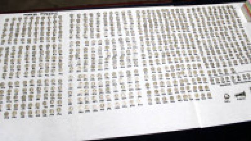 Foto: CJ Botoșani/ Facebook | Poza 7 din 9