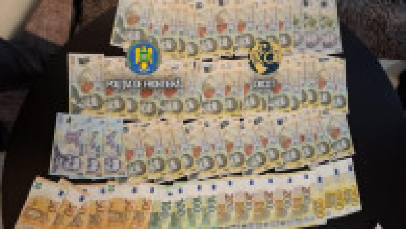 Cultură uriașă de canabis la ghiveci, descoperită lângă Capitală. Foto DIICOT | Poza 6 din 12