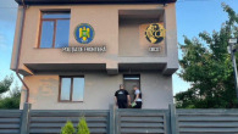 Cultură uriașă de canabis la ghiveci, descoperită lângă Capitală. Foto DIICOT | Poza 11 din 12