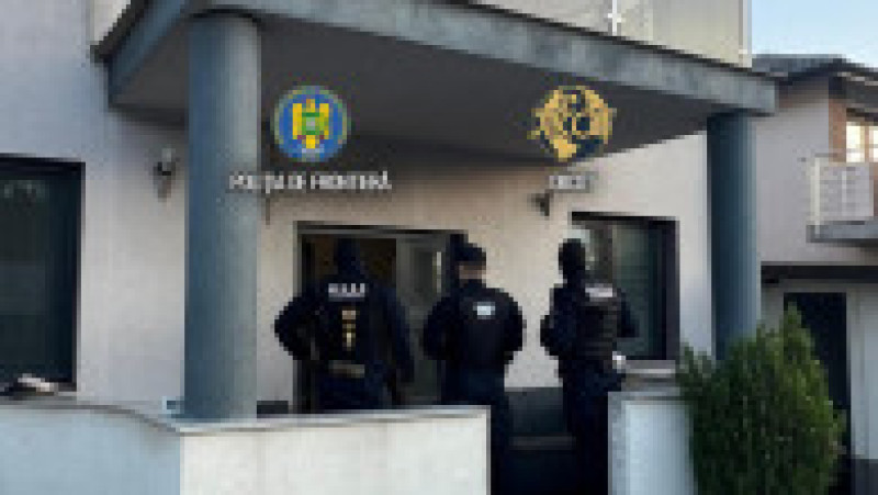 Cultură uriașă de canabis la ghiveci, descoperită lângă Capitală. Foto DIICOT | Poza 7 din 12