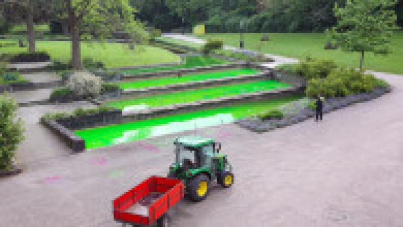 21 mai 2026, Hamburg: Apa fântânilor din parcul Planten un Blomen a fost colorată în verde. În față se poate vedea sloganul „Din păcate, nu verde”, scris cu spray. Foto: Profimedia Images | Poza 5 din 7
