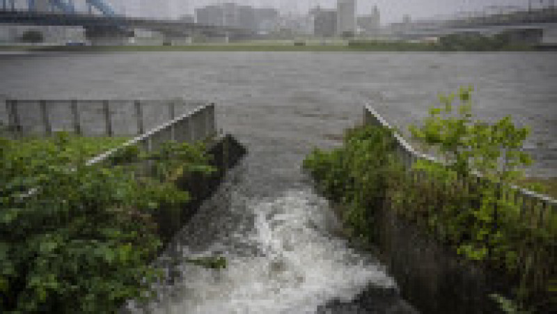 Furtuna Jangmi a făcut prăpăd în Japonia. Sursa: Profimedia | Poza 4 din 7