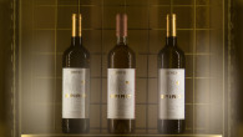 Colecția SPIRIT Jidvei SPIRIT Fetească Regală, SPIRIT Chardonnay și SPIRIT Rose | Poza 13 din 20