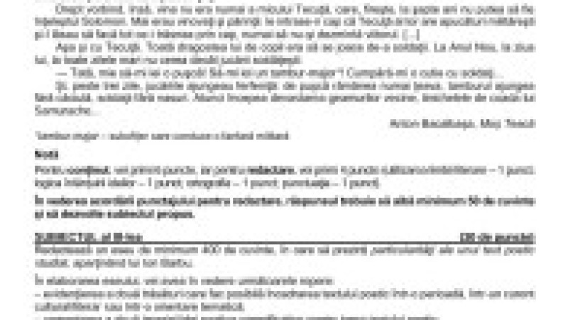 Subiecte simulare, limba română - profil uman. 2 | Poza 3 din 4
