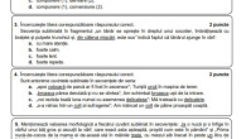 EN - subiecte romana, pagina 7 | Poza 7 din 9