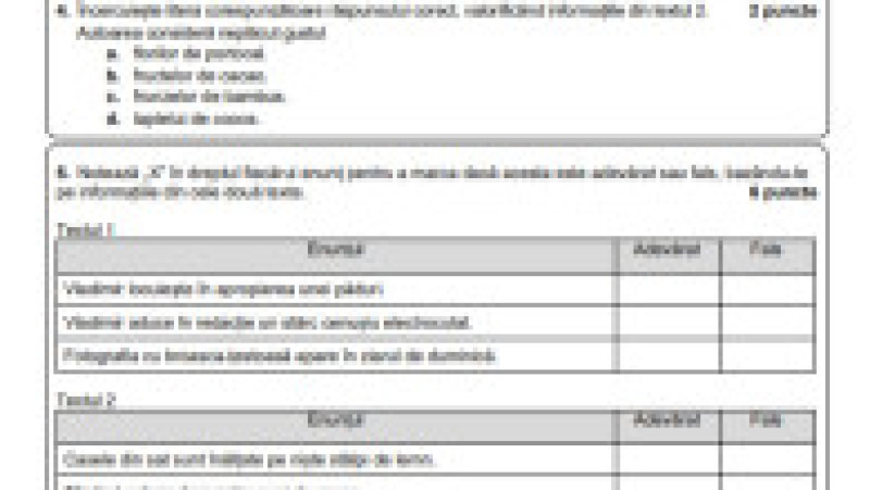 EN - subiecte romana, pagina 4 | Poza 4 din 9