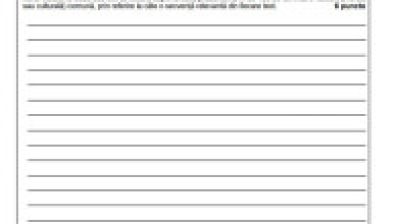 EN - subiecte romana, pagina 6 | Poza 6 din 9