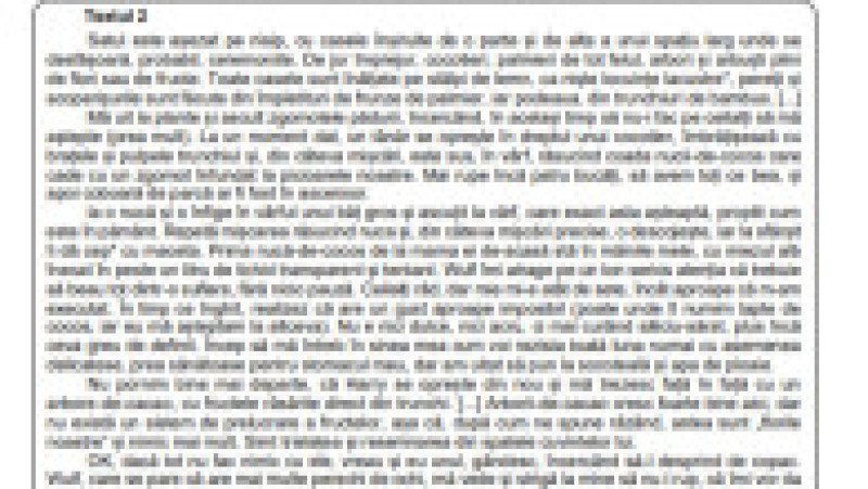 EN - subiecte romana, pagina 3 | Poza 3 din 9