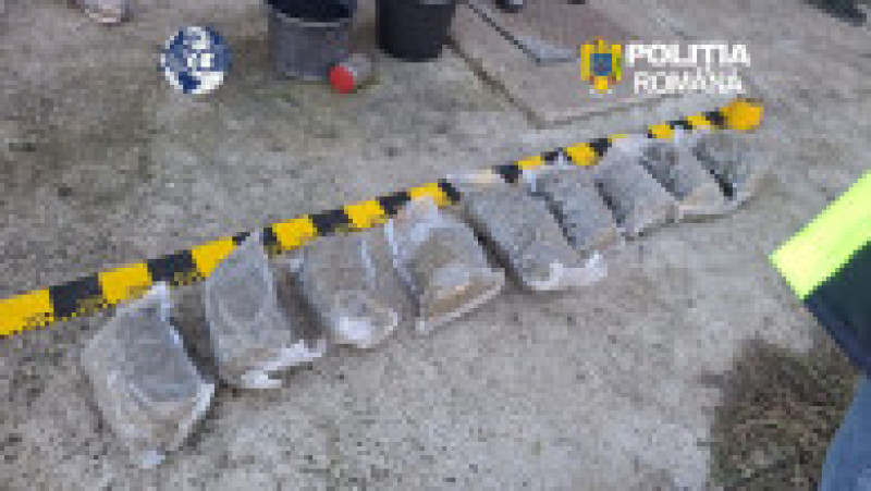 Cultură de canabis în Covasna, 60 de plante confiscate. Un bărbat de 62 de ani a fost reținut de DIICOT | Poza 3 din 6