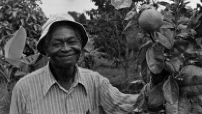 Adepții lui Jim Jones în Guyana. Sursa foto: Profimedia Images | Poza 22 din 22