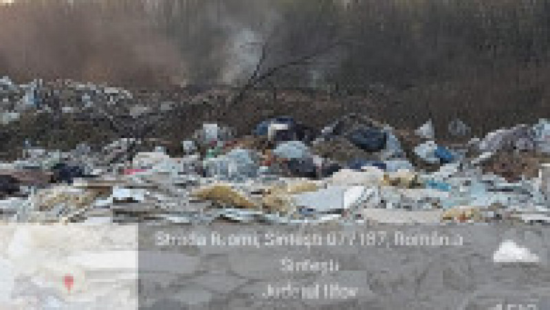Amenzi de sute de mii lei și tone de deșeuri au fost confiscate de autorități în comuna Sintești. FOTO: facebook Garda de Mediu | Poza 7 din 7