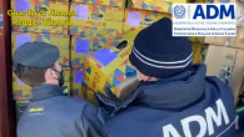 Cocaină de un miliard de euro ascunsă printre banane, descoperită într-un port din Italia FOTO? Facebook/ Guardia di Finanza | Poza 2 din 7