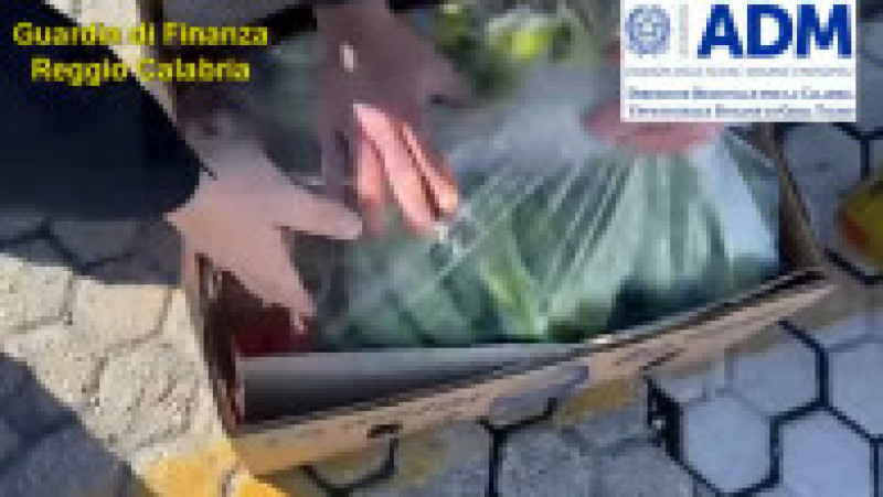 Cocaină de un miliard de euro ascunsă printre banane, descoperită într-un port din Italia FOTO? Facebook/ Guardia di Finanza | Poza 4 din 7