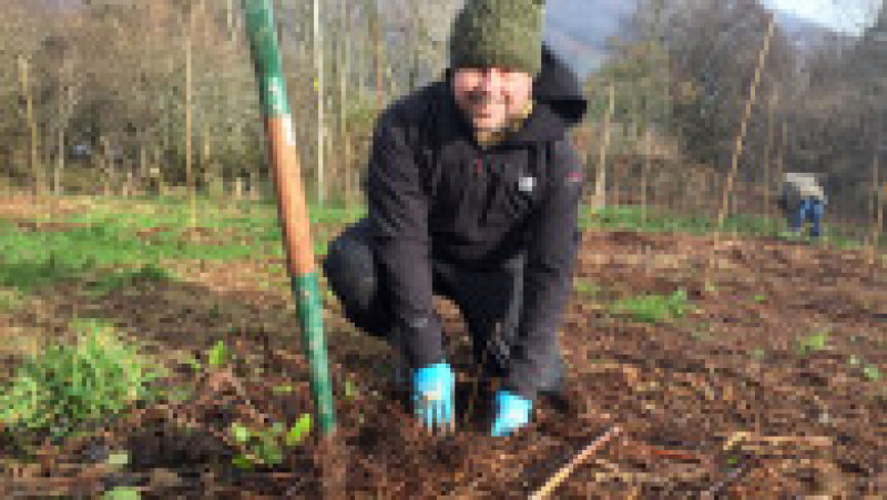 Un voluntar plantează arbori pentru viitor în sudul Țării Galilor. Sursă foto: Woodland Trust Cymru/twitter | Poza 8 din 12