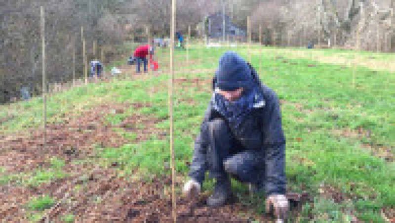 Mai mulți voluntari participă la acțiunea de împădurire organizată de către Coed Cadw, filiala din Ţara Galilor a Woodland Trust. Sursă foto: Woodland Trust Cymru/twitter | Poza 9 din 12